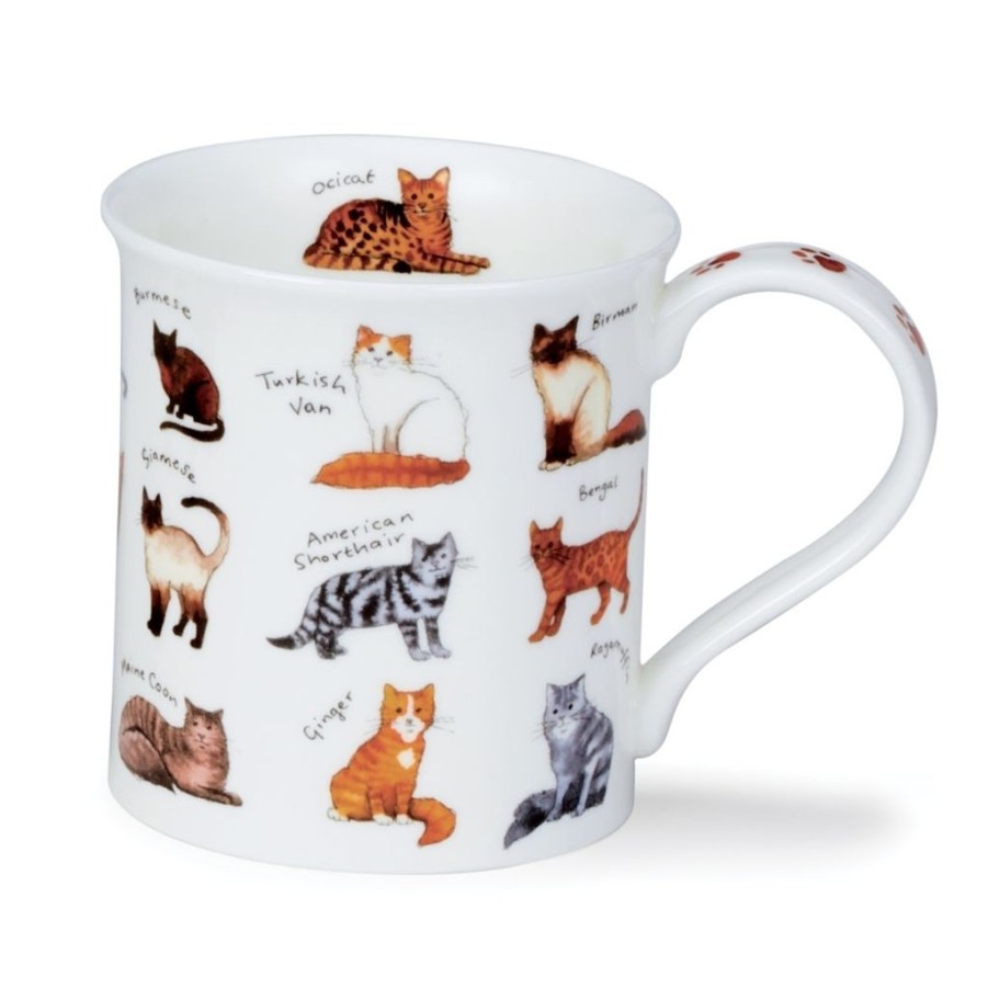 Tabletop Dunoon Shape: Bute | Dunoon Bute Animal Breeds Cat Mug