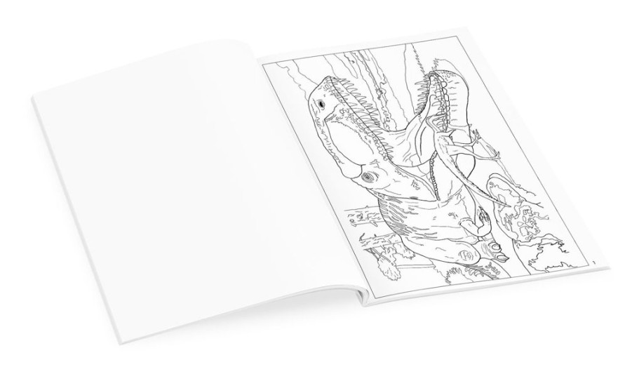 Children British Isles Activity Books | Dinosaurs Coloring Book