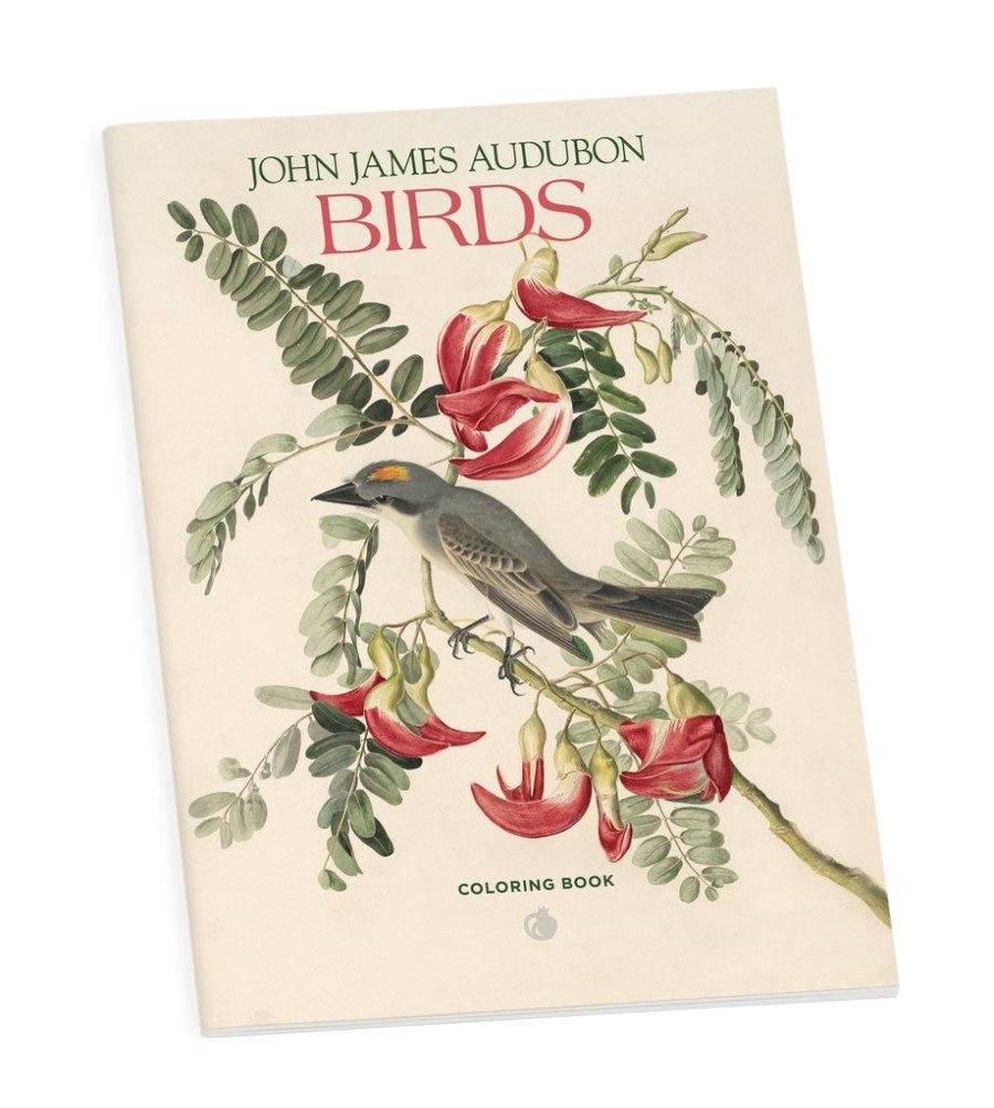 Children British Isles Activity Books | Audubon Birds Coloring Book