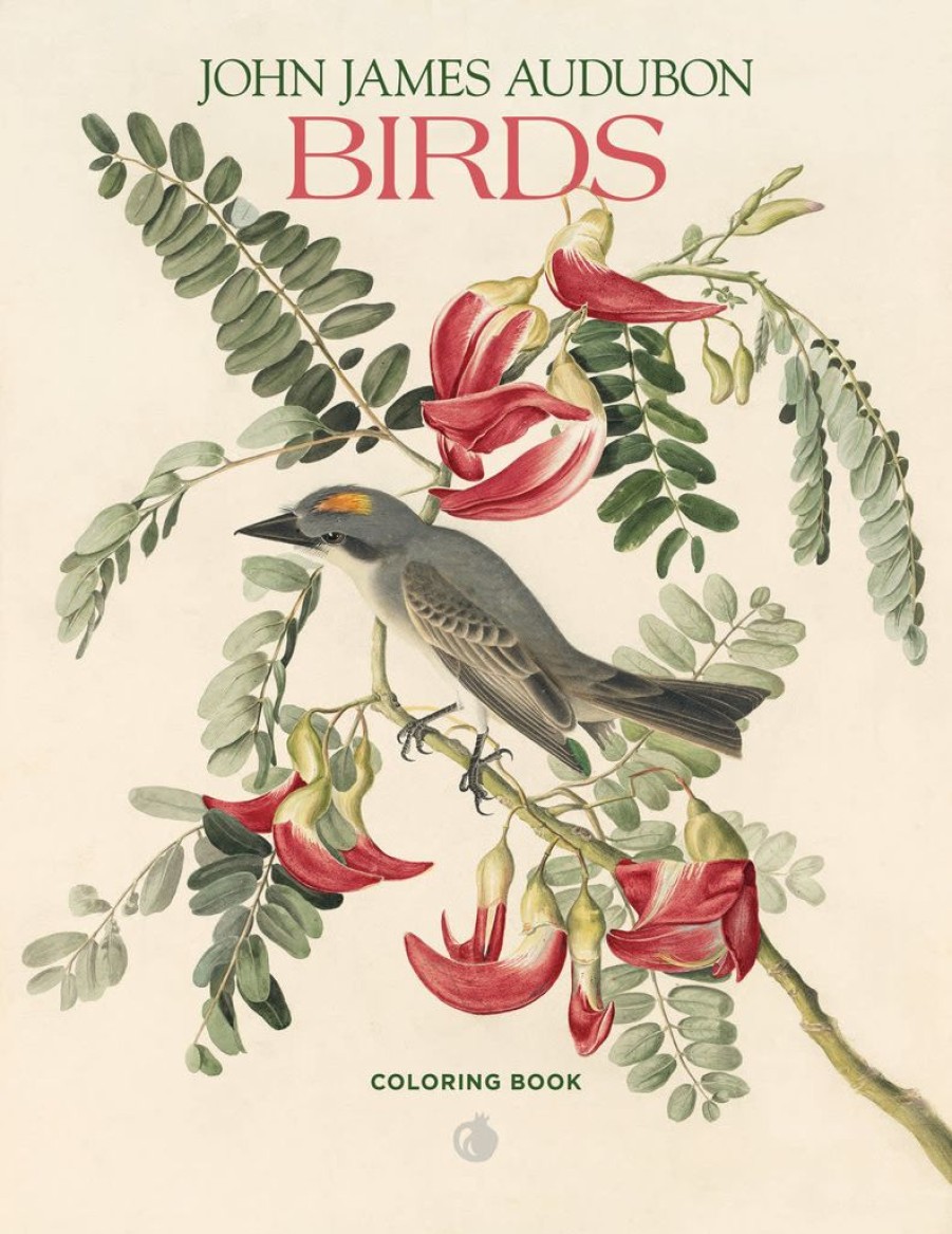 Children British Isles Activity Books | Audubon Birds Coloring Book