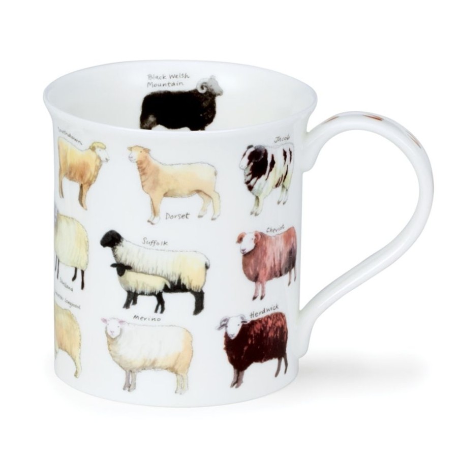 Tabletop Dunoon Shape: Bute | Dunoon Bute Animal Breeds Sheep Mug