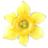 Wear British Isles Pins & Brooches | Lila Jewellery Daffodil Enamel Brooch