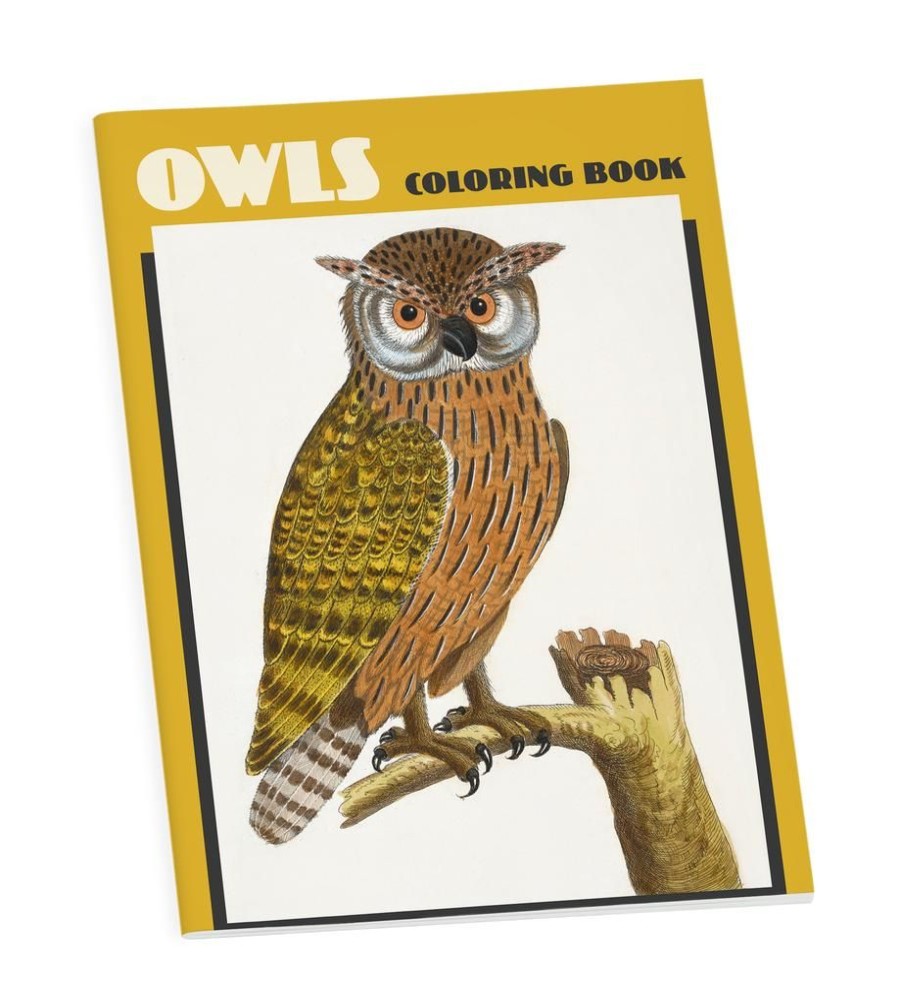 Children British Isles Activity Books | Owls Coloring Book