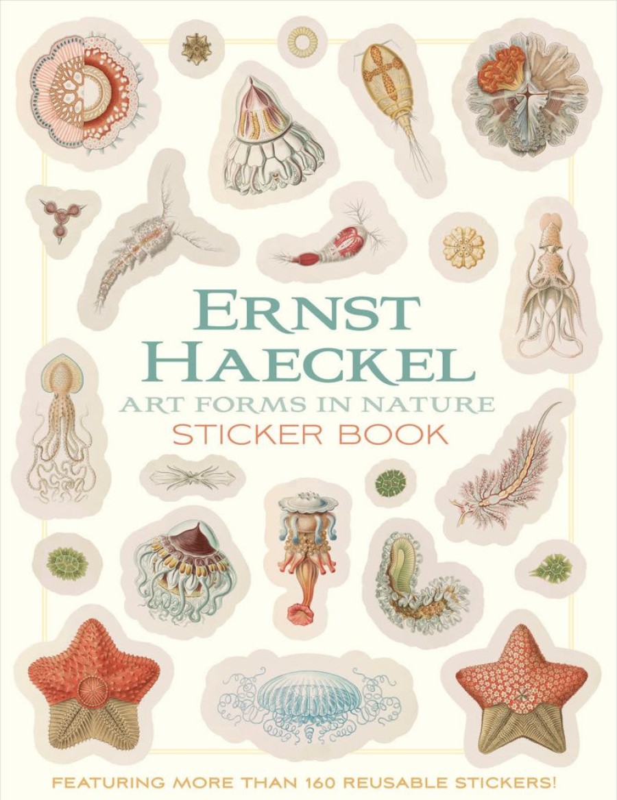 Children British Isles Activity Books | Pomegranate Ernest Haeckel: Art Forms In Nature Sticker Book