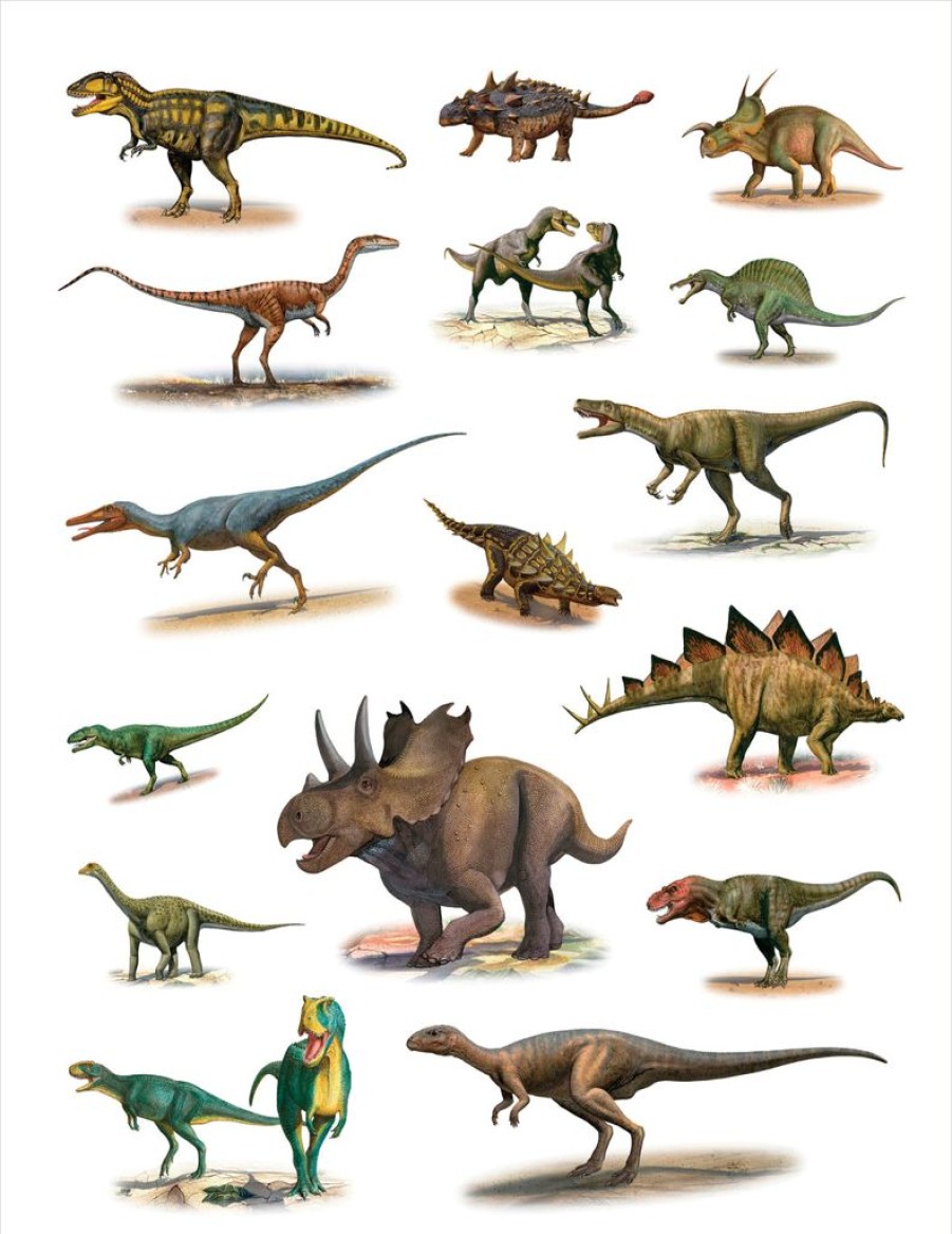 Children British Isles Activity Books | Dinosaurs Sticker Book