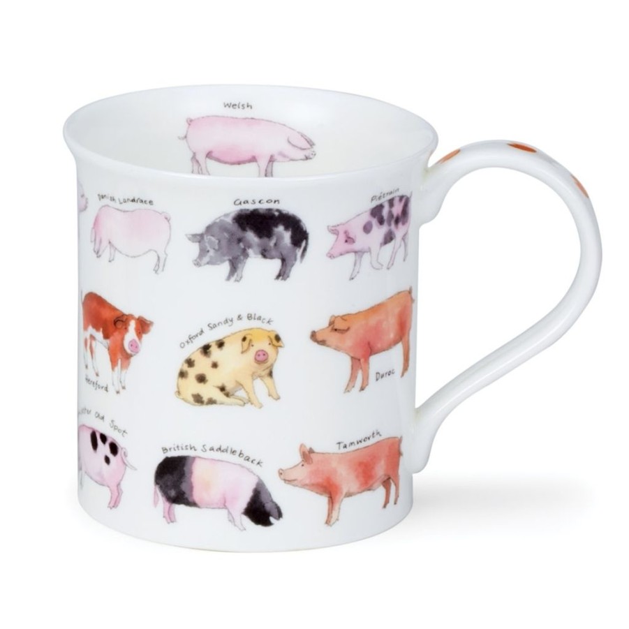 Tabletop Dunoon Shape: Bute | Dunoon Bute Animal Breeds Pig Mug